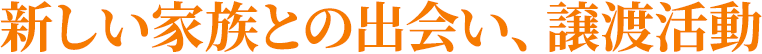 新しい家族との出会い、譲渡活動