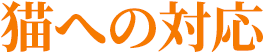 猫への対応