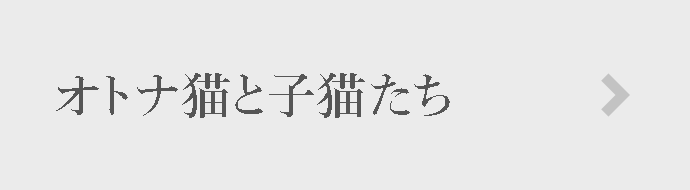 オトナ猫と子猫たち